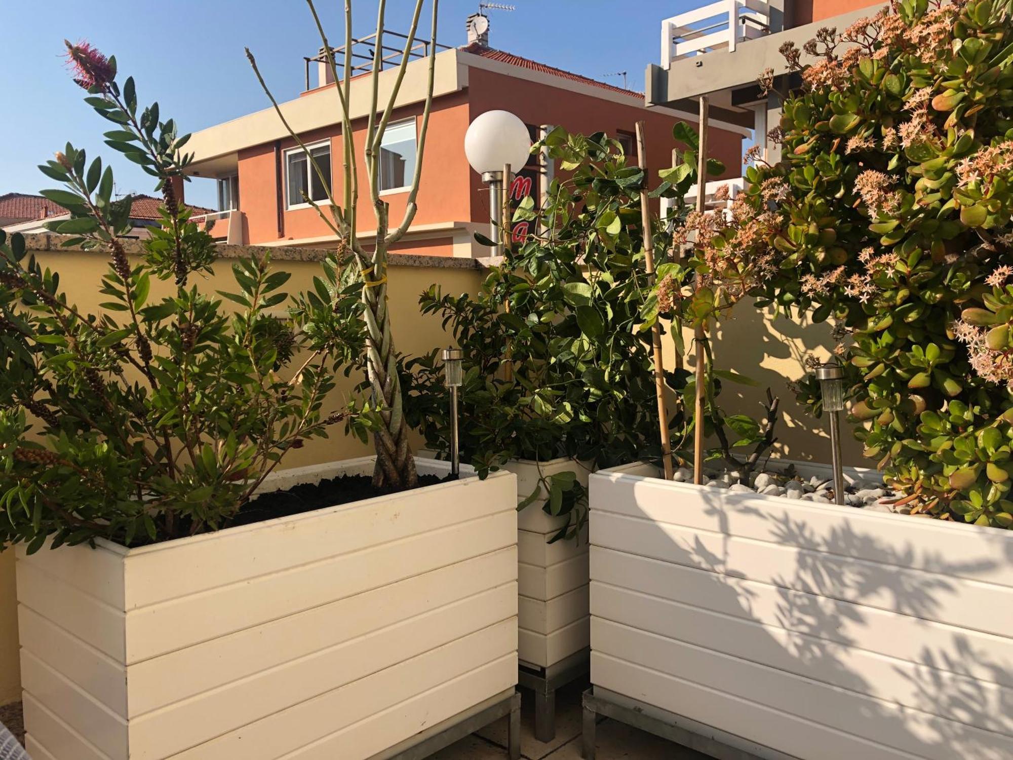B&B Borgo Marina 보르디게라 외부 사진