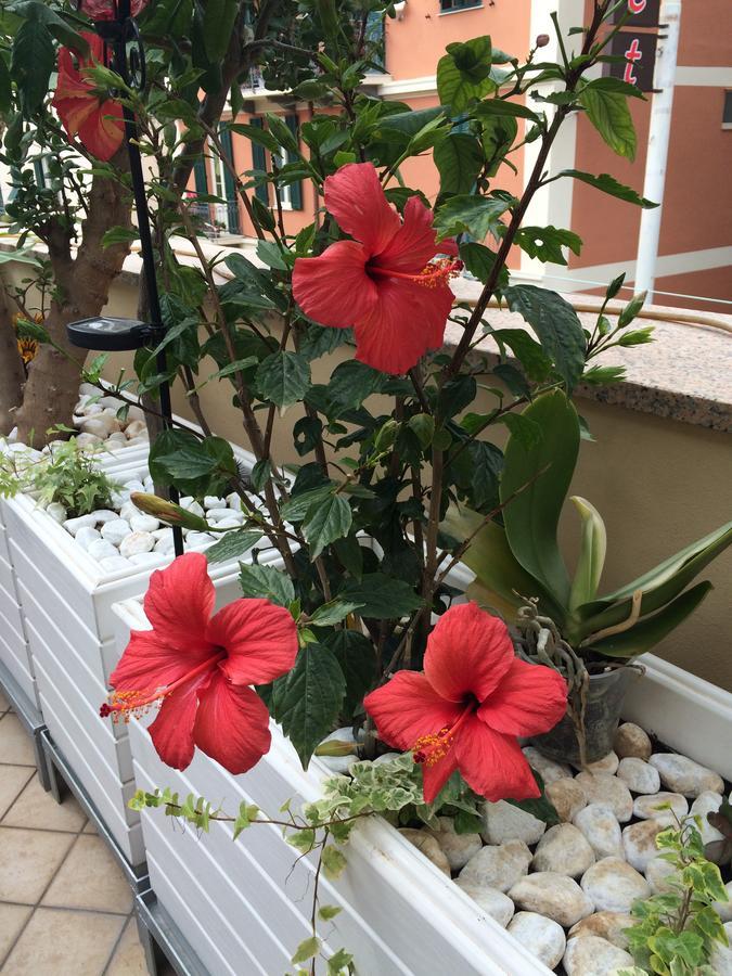 B&B Borgo Marina 보르디게라 외부 사진